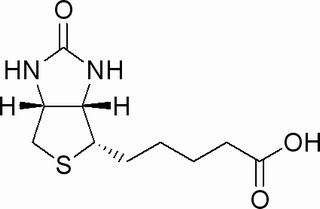 D-生物素