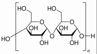 馬鈴薯淀粉