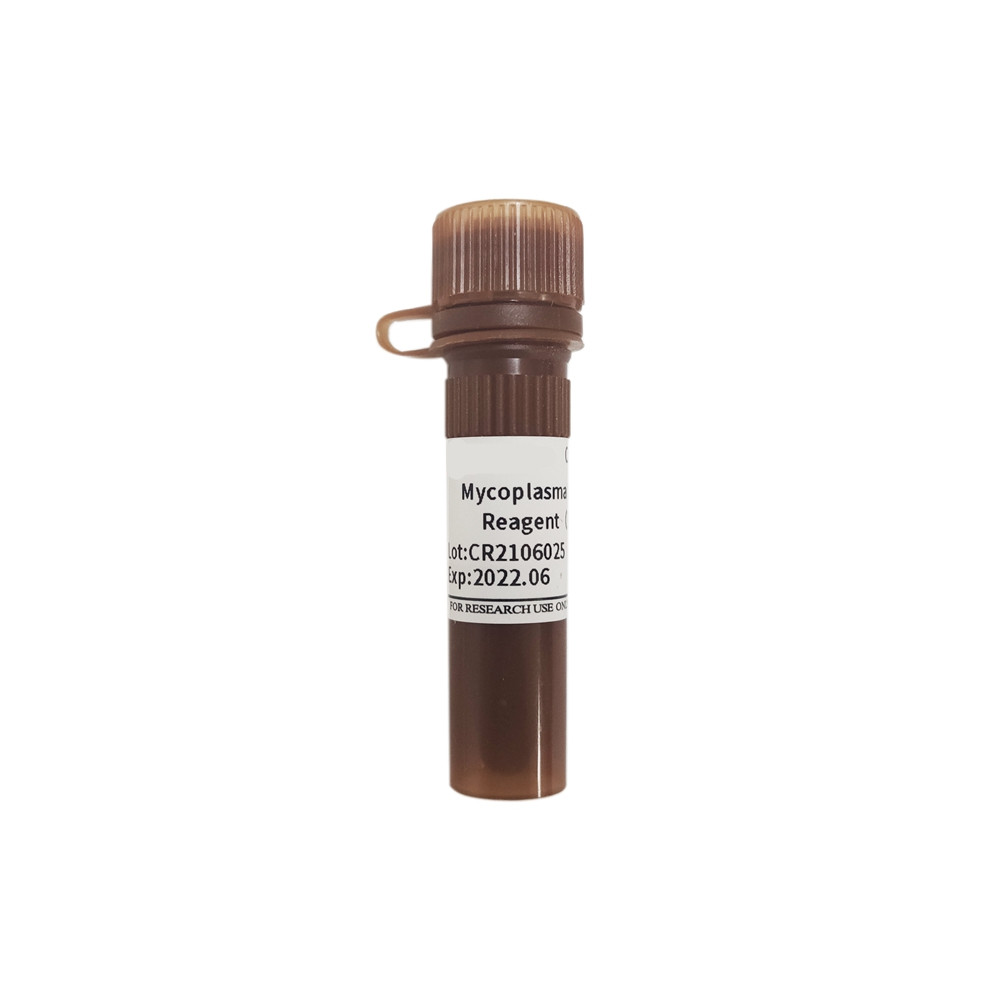 Mycoplasma Prevention Reagent（1000×）